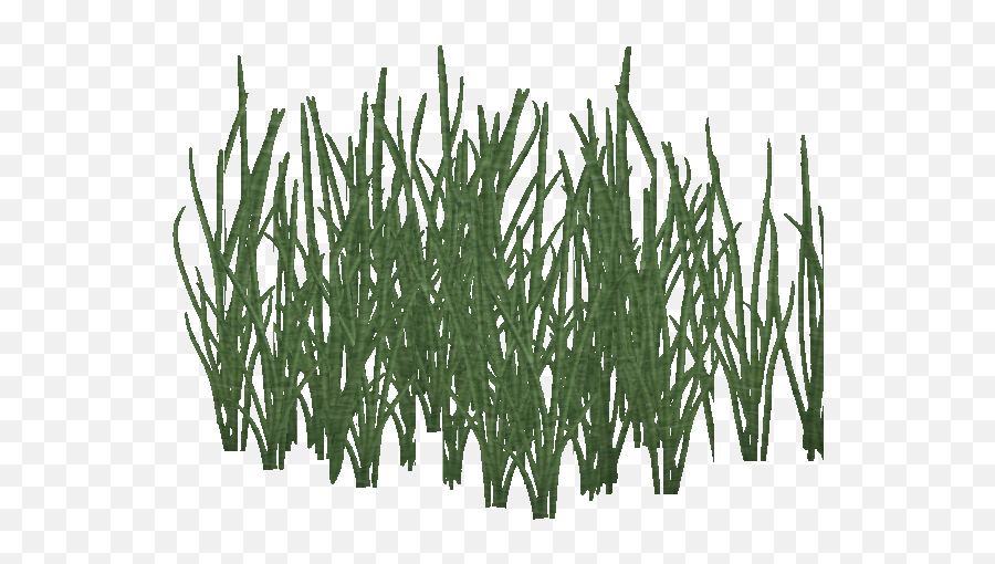 Image - Plants Png,Dry Grass Png