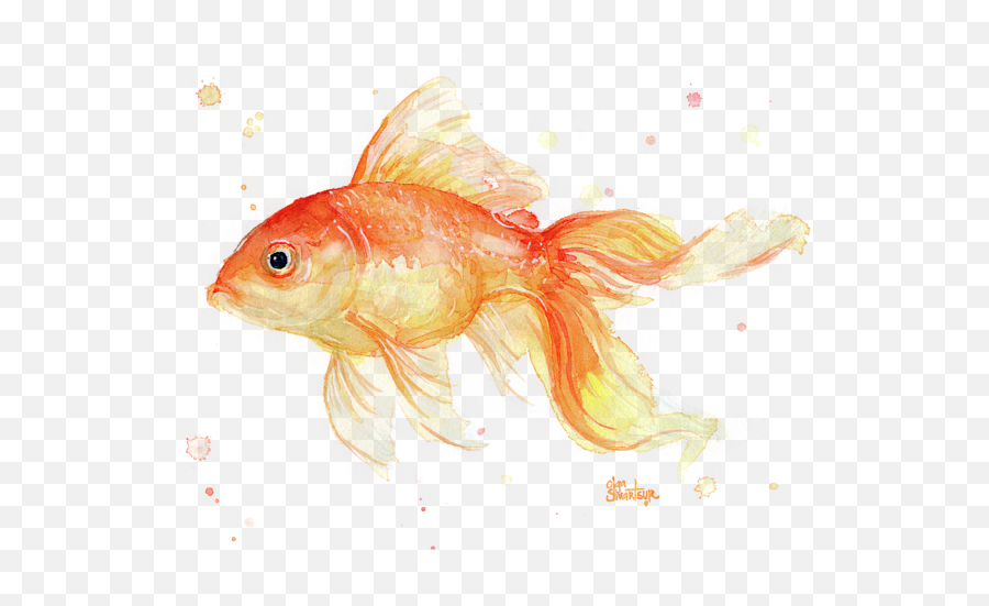 Goldfish Painting Watercolor Tank Top - Goldfish Painting Watercolor Png,Gold Fish Png