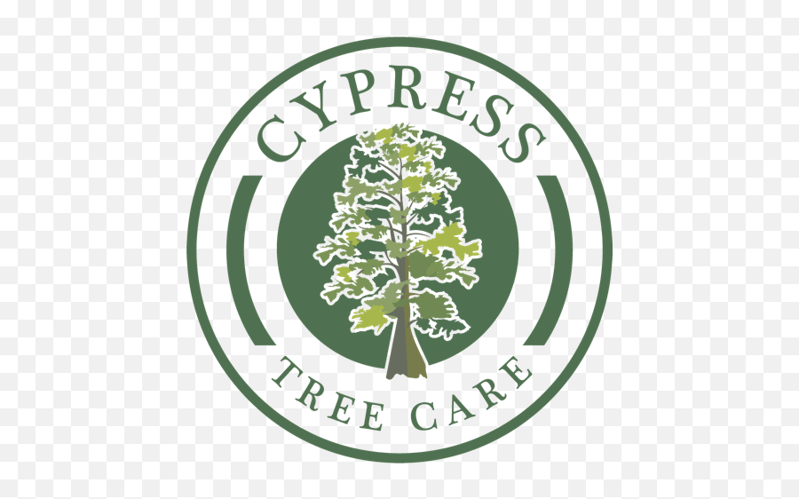 Ctc - Emblem Png,Cypress Tree Png