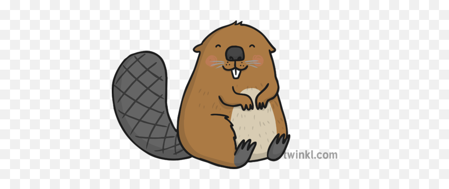 Beaver Illustration - Twinkl Punxsutawney Phil Png,Beaver Png