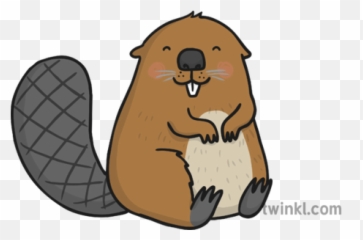 Beaver Illustration - Twinkl Punxsutawney Phil Png,Beaver Png