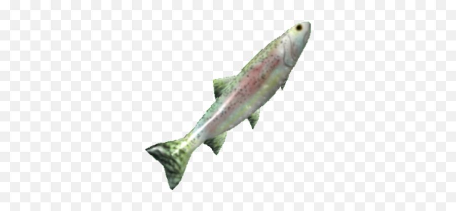 Trout Tradelands Wikia Fandom Pacific Salmons And Trouts Png Free Transparent Png Images Pngaaa Com - how to drop a create in roblox tradelands