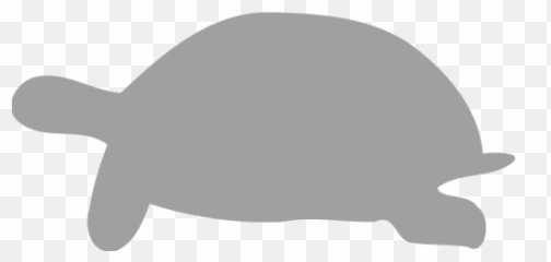 Tortoise Icons Images Png Transparent - Tortoise,Turtle Transparent
