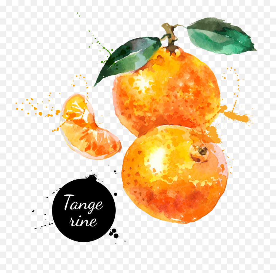 Download Watercolor Painting Hand Painted Handpainted - Frutas Pintadas Con Acuarelas Png,Oranges Png