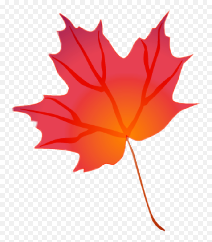 Leaf Red Redleaves Leaves Fall Fallingleaves - Transparent Background Fall Leaves Clipart Png,Transparent Leaves
