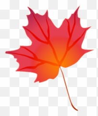 Leaf Red Redleaves Fall Fallingleaves - Transparent Background Fall Leaves Clipart png