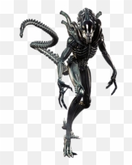 Xenomorph - Aliens Png,Xenomorph Transparent