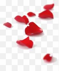 The Gallery For U003e Falling Petals Red Rose - Scattered png