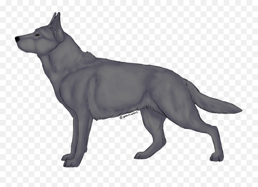 Download German Shepherd Lineart - Dog Full Size Png Image Northern Breed Group,German Shepherd Transparent