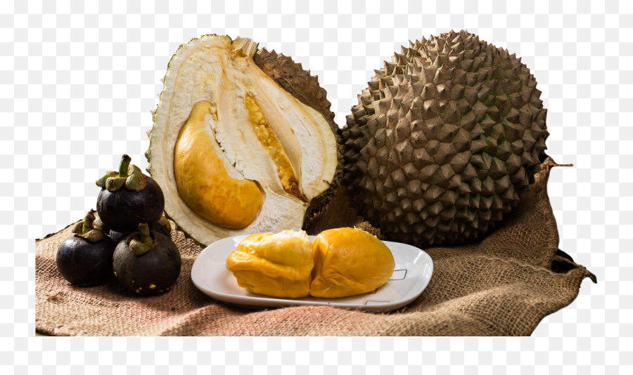 Durian Republic Png