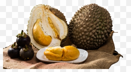 Durian Republic Png