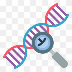 Dna Strand Free Vector Icons Designed - Illustrator png