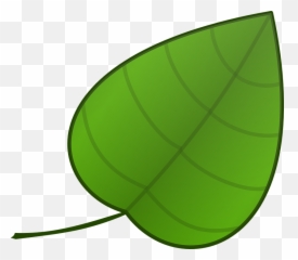 Aka Ivy Png Picture 1973459 - Big Leaf Clipart,Ivy Png