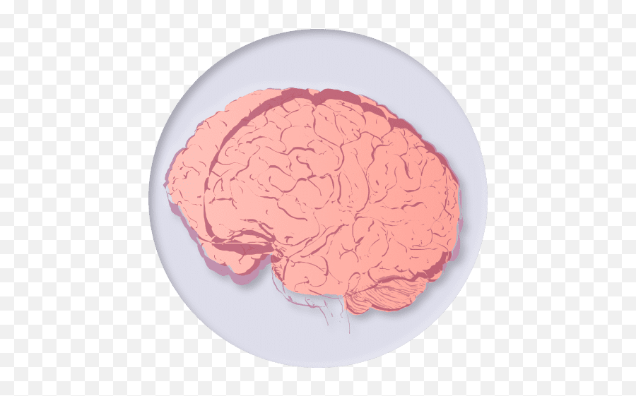 Health Ai - Audeering For Adult Png,Ai Brain Icon