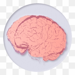 Health Ai - audEERING For Adult png