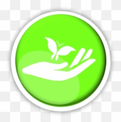 Waterfall Methodist Church - Our Leaders Language Png,Icon Psalm 117