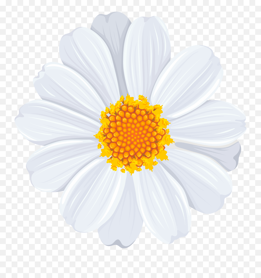 White Daisy Png Transparent - White Daisy Clip Art,Transparent Daisy