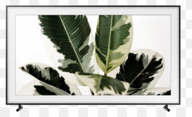 Qe65ls03r - Frame Tv Black Friday png