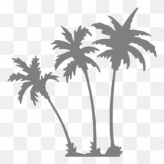 Icons - PALMTREESGREY Hawaii Luxury Listings Palm Tree Watercolor Png 2k