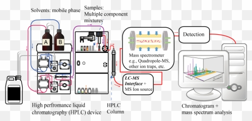 Fileliquid Chromatography Tandem Mass Spectrometry Diagram - Liquid Chromatography Mass Spectrometry Diagram Png,Me Png