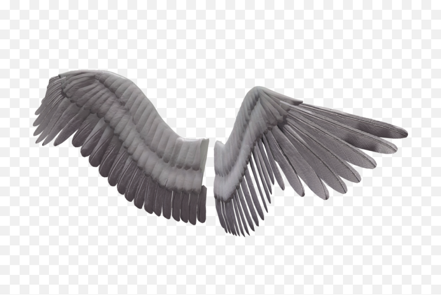 Angel Wings Png Image Background - Bird Wings Transparent Png,Wings Transparent Background