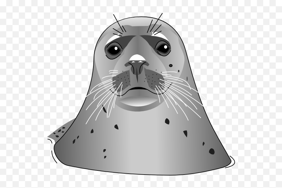Seal Clipart Gray Transparent Free For - Fur Seal Cartoon Png,Seal Png