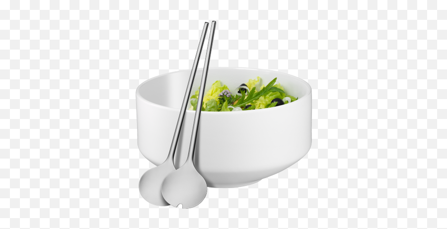 Moto - Wmf Moto Png,Salad Bowl Png