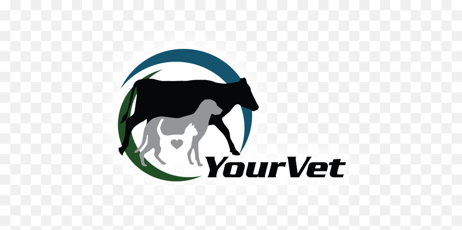 Your Vet Waipu Mangawhai To Maungaturoto And Ruakaka Png Veterinary Logo