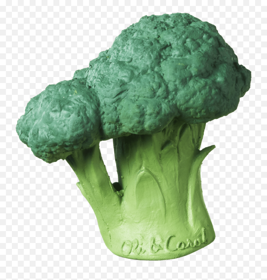 Brocolli Teething Toy - Broccoli Png,Brocolli Png