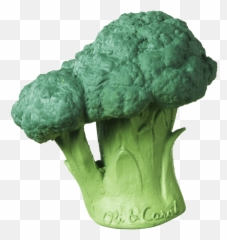 Brocolli Teething Toy - Broccoli Png,Brocolli Png
