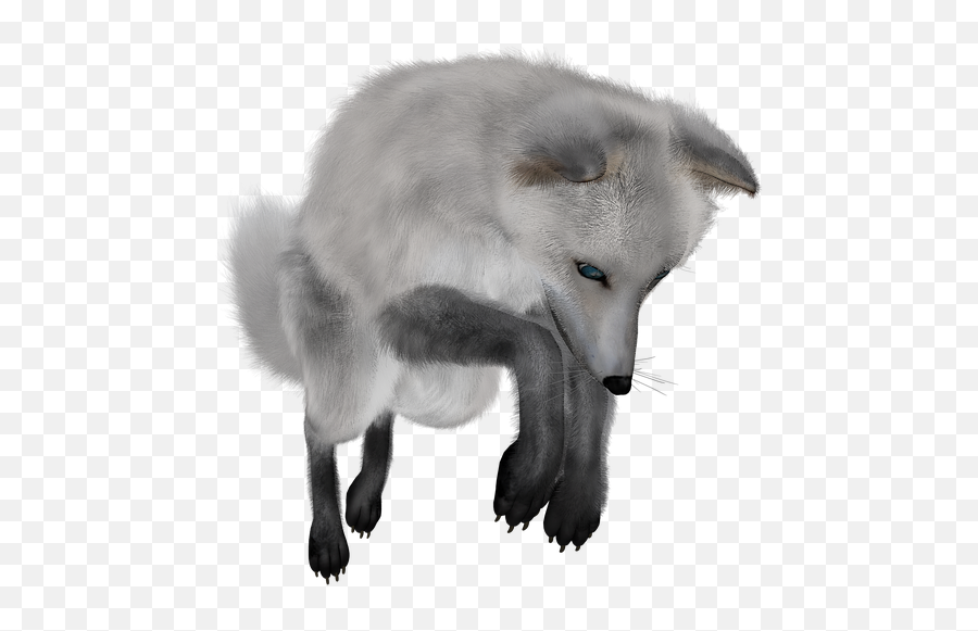 Arctic Fox Transparent Png Image - Transparent Arctic Fox Png,Fox Clipart Png