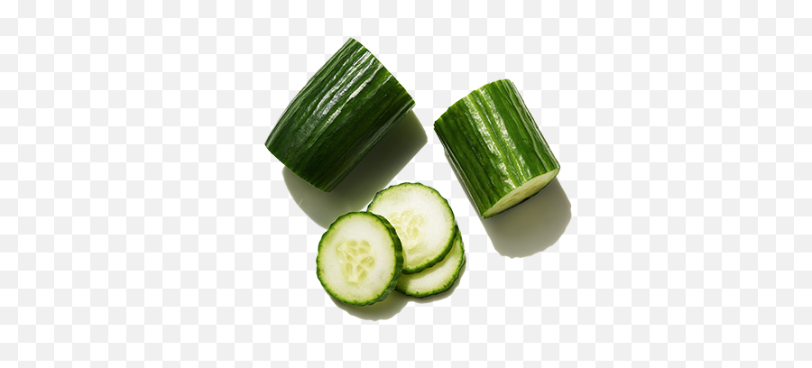 Best Ingredients For Hair Cucumber Oil Prose - Cucumber Png,Cucumber Transparent
