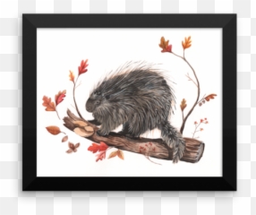 Download Hd Porcupine Print - Beaver Transparent Png Image Beaver,Beaver Png