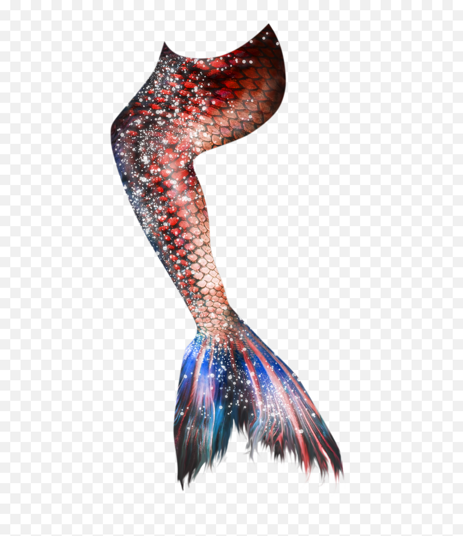 Download Pink And Purple Mermaid Tail Hd Png - Purple Mermaid Tail Png,Mermaid Tail Transparent Background