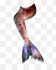 Download Pink And Purple Mermaid Tail Hd Png