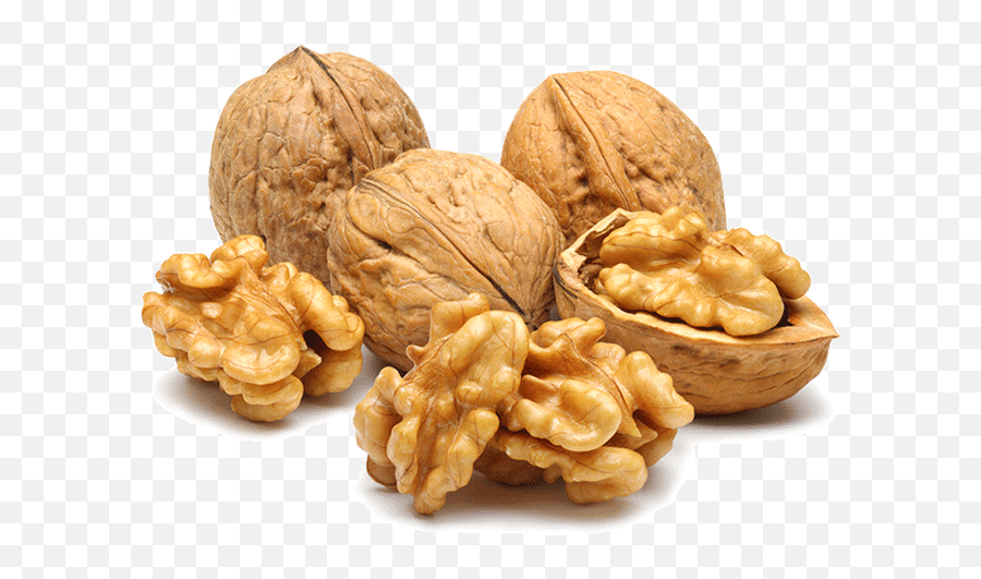 Walnuts - Dry Fruits Png,Walnuts Png