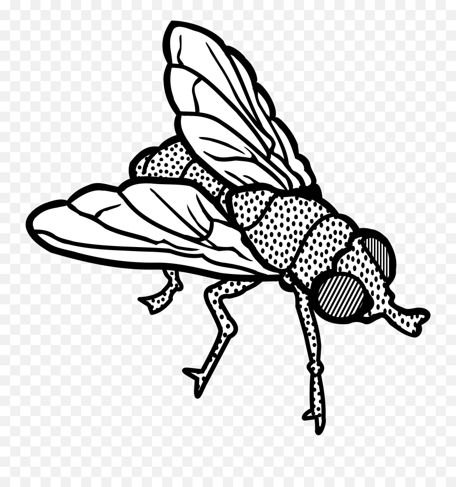 House Fly Clipart Black And White - Housefly Clipart Black And White Png,Fly Clipart Png