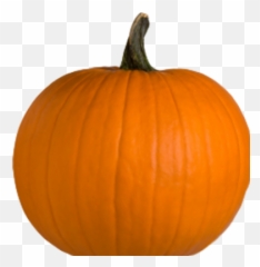 Pumpkin Png Transparent Background U0026 Free - Superfood
