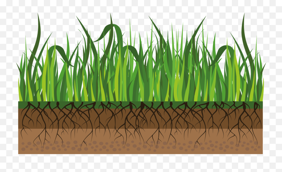 Find Out The Benefits Of Aerating Your Lawn - Grassland Png,Grass Transparent