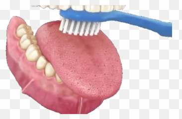 Tongue Transparent Toothbrush Dentistry - Brush Your Gif png
