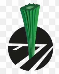 Turf Systems - Artificial Turf Companies Artificial Sports Vertical Png,Quattro Logo