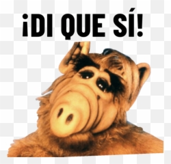Alf - Alf Wallpaper Hd Png,Alf Png