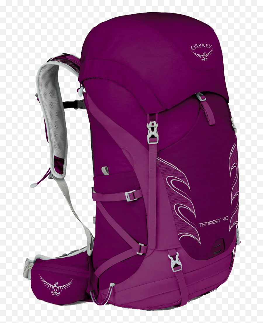 How To Choose Among The Top Osprey Backpacks For Trekking Png Oakley Icon Pack Backpack Review