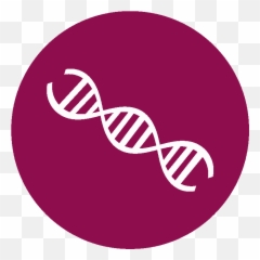 Download Dna Icon Png Image With No - Logo