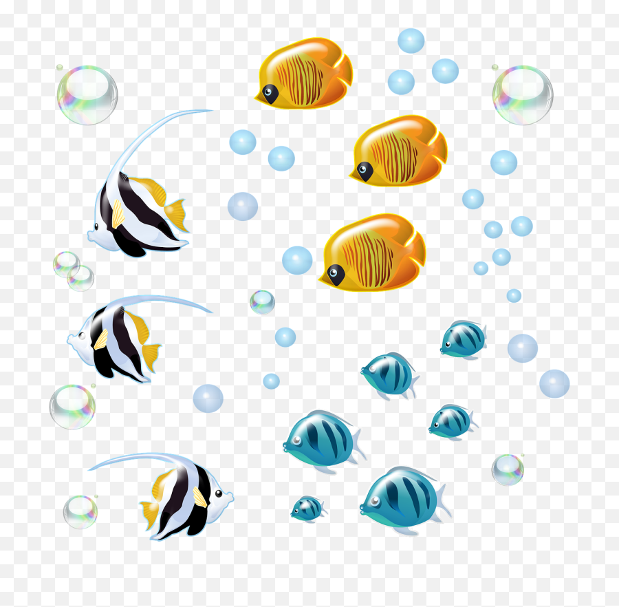 Underwater Fish Bubbles Swimming - Free Image On Pixabay Clip Art Png,Fish Swimming Png