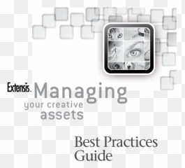 Pdf Portfolio8 - Best Practices Guide Raul Lefranc Language png