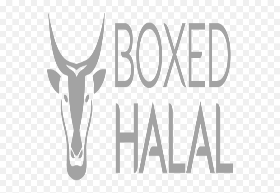 Boxed Halal New York Ny Us Startup - Language Png,Halal Icon