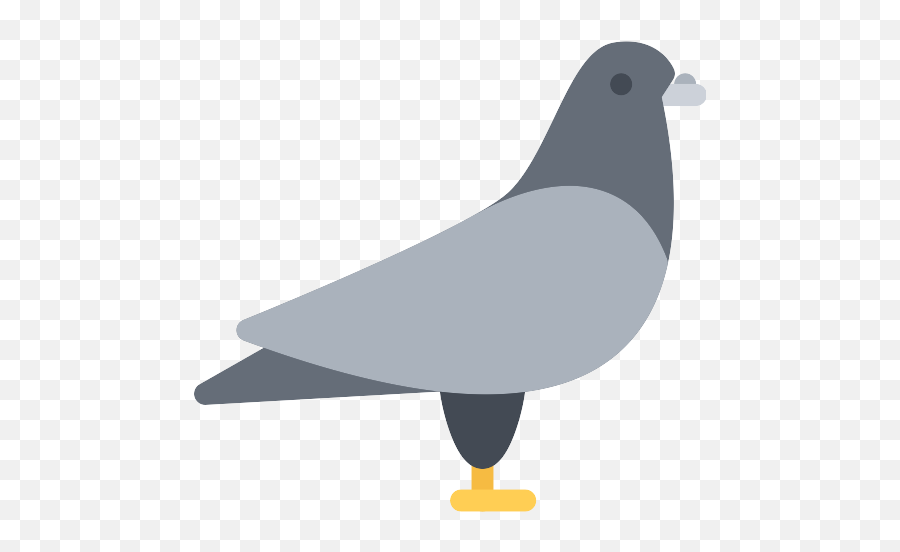 Dove Pigeon Png Icon - Rock Dove,Pigeon Png