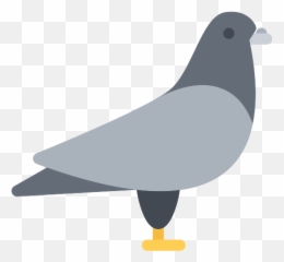 Dove Pigeon Png Icon - Rock Dove,Pigeon Png