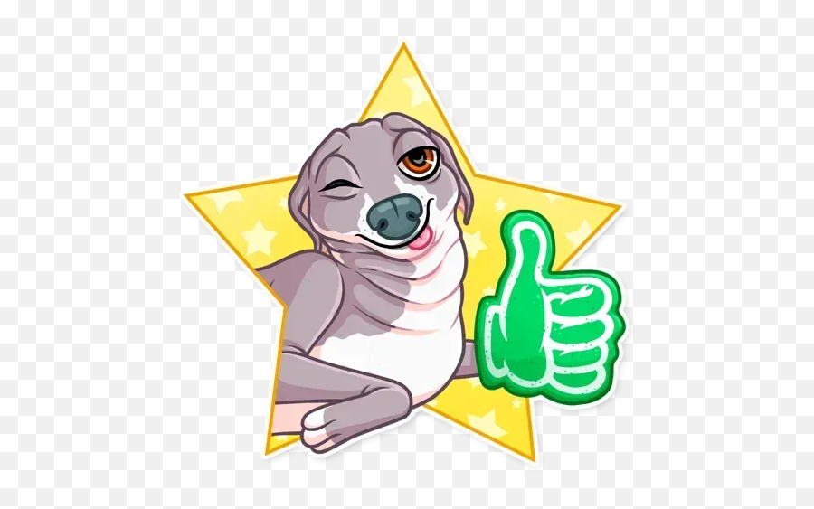Kermit The Dog Whatsapp Stickers - Clip Art Png,Kermit Transparent